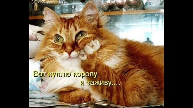 Разговоры с коллекторами 96 смотреть онлайн