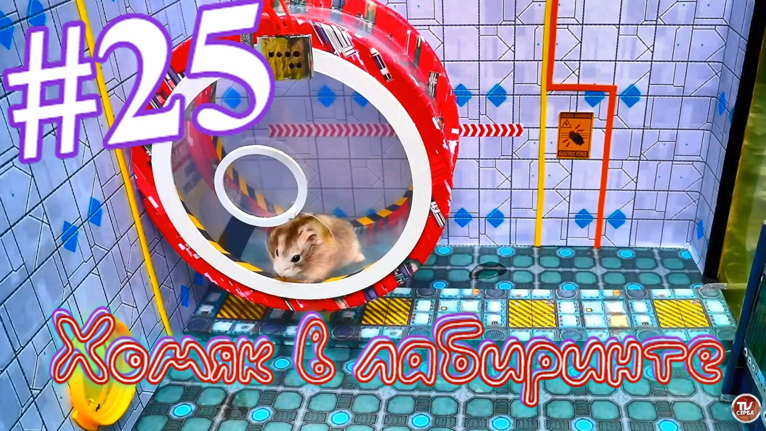 Хомяк в лабиринте (25 серия) смотреть онлайн
