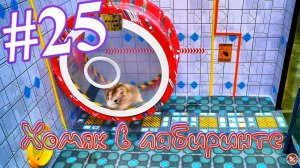 Хомяк в лабиринте (25 серия)