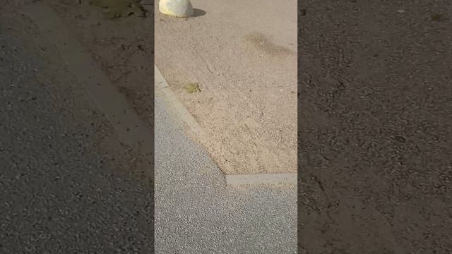 1000002683.mp4 смотреть онлайн