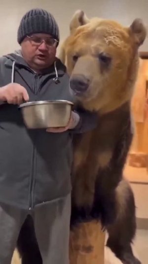 Вот почему русских стоит бояться😅 Подписываемся 🙃