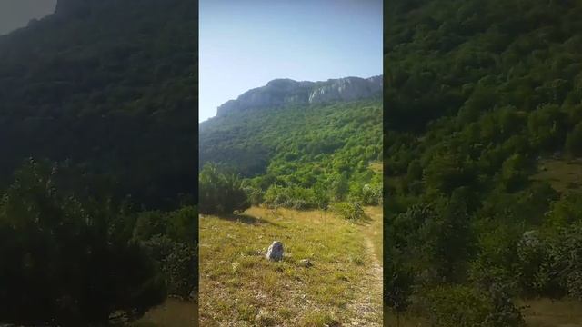 ультро смотреть онлайн