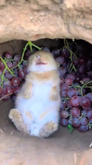 Выходной моей мечты 😁😊😊 смотреть онлайн