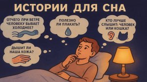 Энциклопедия для сна. Ответы на вопросы, о которых вы думали ночью.