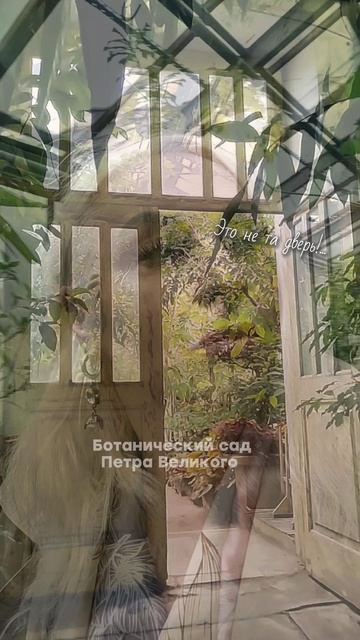 Ботанический сад Петра Великого