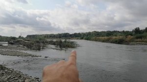 Голавль, р Лаба