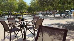 #12 Такого мы не ожидали! Сюрприз перед вылетом домой. Турция 2025, Dobedan World Palace Kemer