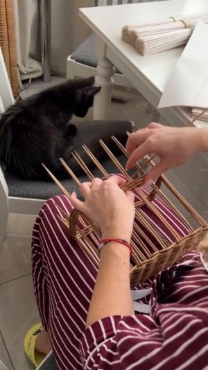 Корзина для книг и журналов с деревом 🌳 из лозы и мха