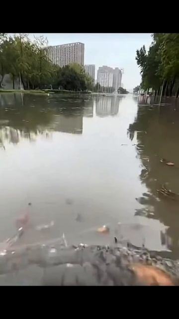 Еду на электробайке на работу