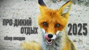 Краткий обзор большого путешествия 2025