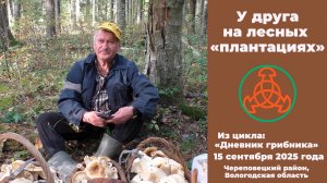 У друга на лесных "плантациях". Дневник грибника 15 сентября 2025 года.