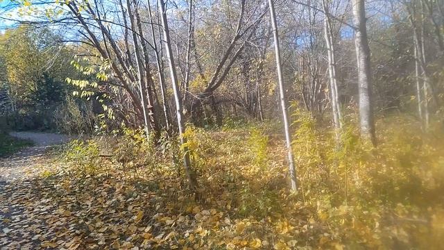 28-09-2025 Осенняя пора, очей очарованье смотреть онлайн
