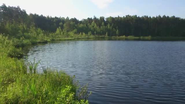 Лесное озеро. Музыка Сергея Чекалина смотреть онлайн