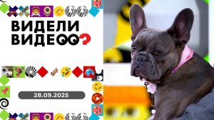 Видели видео? Выпуск от 28.09.2025