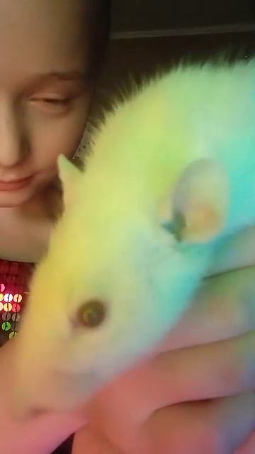 зацените новый стиль смотреть онлайн