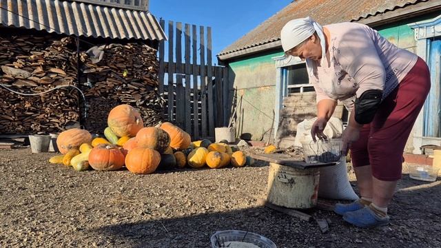 урываю последние деньки теплые смотреть онлайн