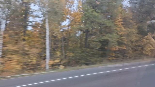 Осень. Сам себе и небо и Луна. Дорога Бестолковая смотреть онлайн