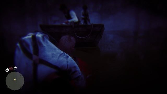 Red Dead Redemption 2 #21