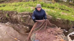 Семейная рыбалка. Ловля ряпушки неводом.