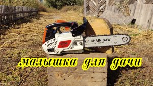 Самая маленькая бензиновая цепная пила которую можно купить