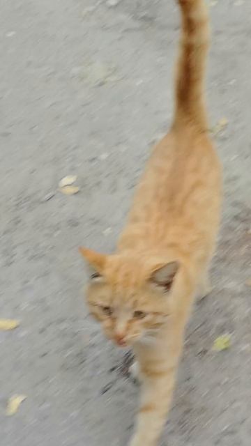 злопамятный 28-09-2025