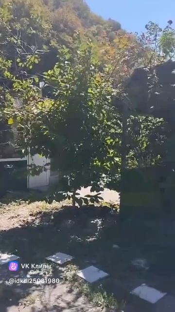 Дом вашей мечты! Готовый бизнес на черноморском побережье.