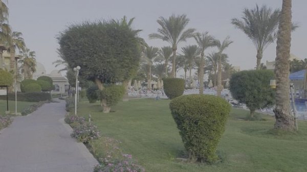 Serenity Alma Resort. Декабрь 2024. Часть 6