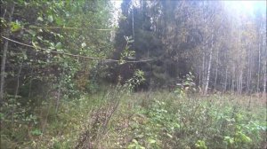 Третий в этом сезоне. Выезд 28.09.2025г.