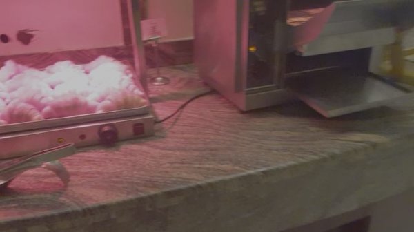 Serenity Alma Resort. Декабрь 2024. Часть 4