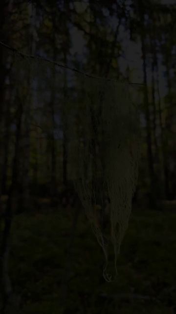 Карелия. Медвежьегорск. Гора Лысуха. Karelia. Medvezhyegorsk. Mount Lysukha смотреть онлайн