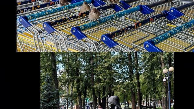 Отпуск август 2025 - Нижнекамск (не забудь лайкнуть и запустить ракету, если понравилось) смотреть онлайн