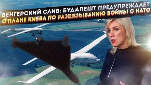 «Гляйвицкий инцидент-2»: Киев готовит атаку дронов на НАТО для начала Третьей мировой