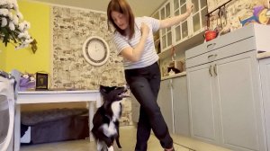 Россиянки выиграли чемпионат Европы по танцам с собаками в Швейцарии