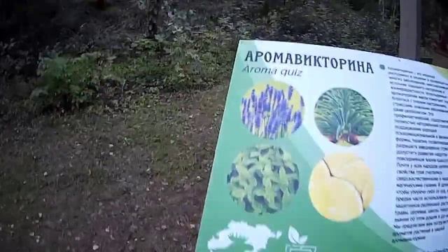 Едем с дочкой гулять в парк гулять по босоногой тропе. смотреть онлайн