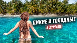 #39 Египет, который заводит! Пять в одной на яхте. Вот, где рай для бесстыжих. Хургада 2024.