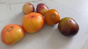 Супер томаты.Абсолютные фавориты сезона в разрезе.