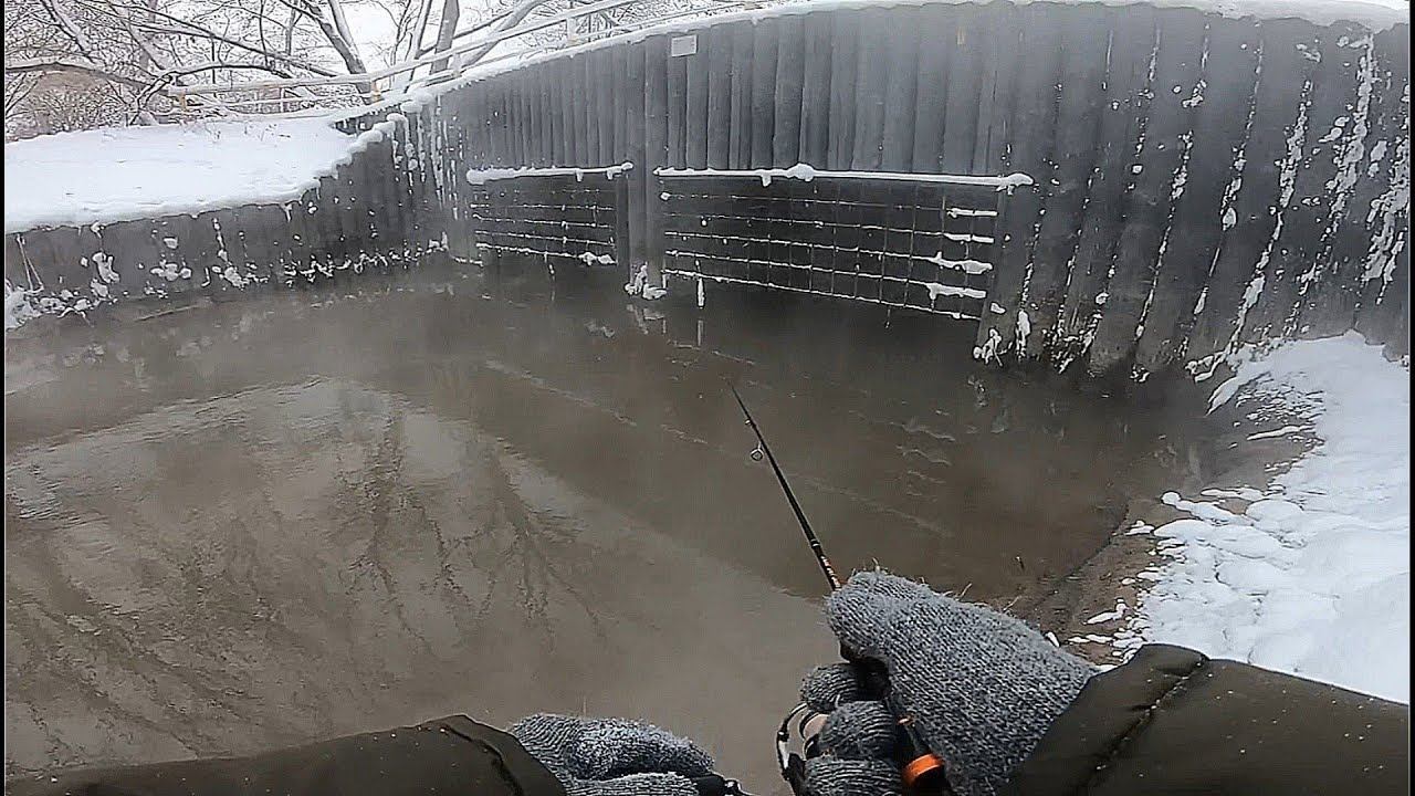 Зимний Мормышинг "Лихоборка".Ветер,Холод.Рыба Бастует...#мормышинг#мормоны#наноджиг смотреть онлайн