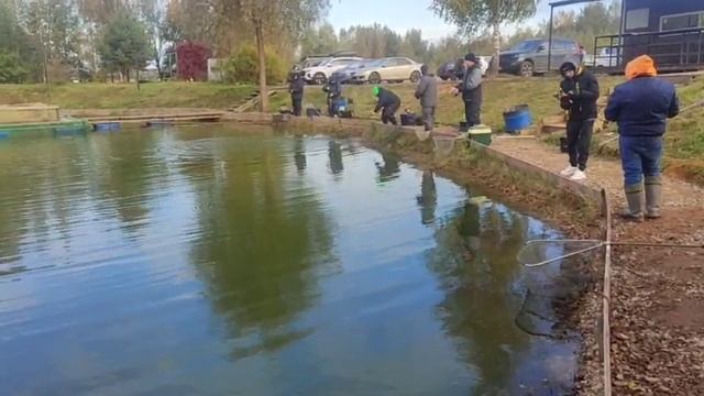 WhatsApp Video 2025-09-29 at 09.58.03 смотреть онлайн