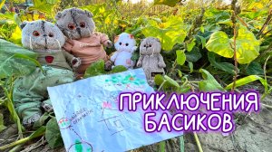 🍁🍂ПРИКЛЮЧЕНИЯ БАСИКОВ / КВЕСТ ДЛЯ БАСИКОВ/ 🍁🍂БАСИКИ ОСЕНЬ #басики #басик #волшебные будни