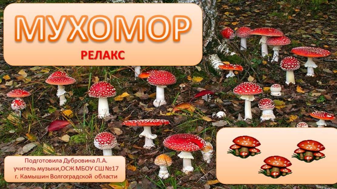 Релакс Мухомор смотреть онлайн