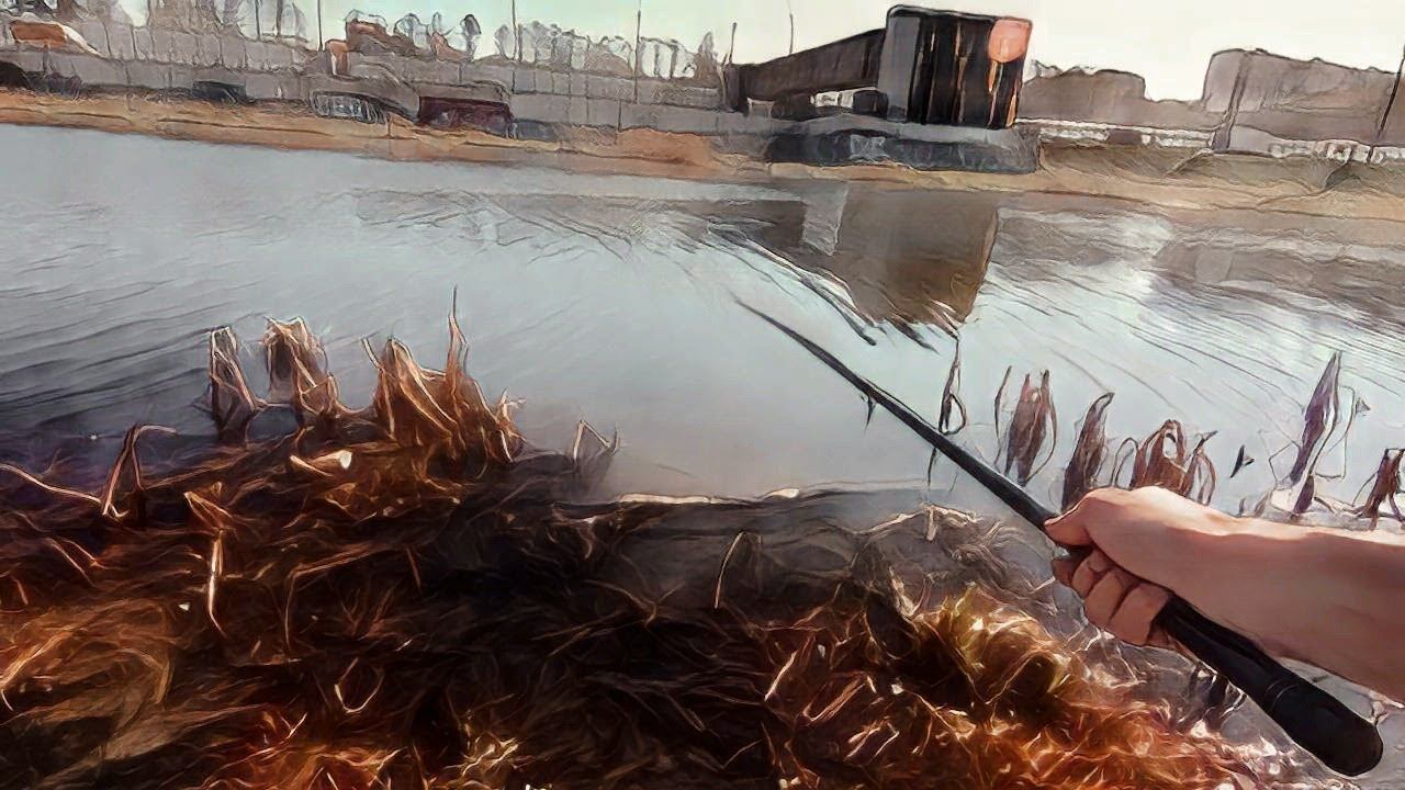 КАРАСЬ НА ПОПЛАВОК #рыбалка 2023 смотреть онлайн