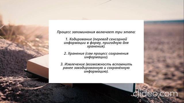 Как работает память?
