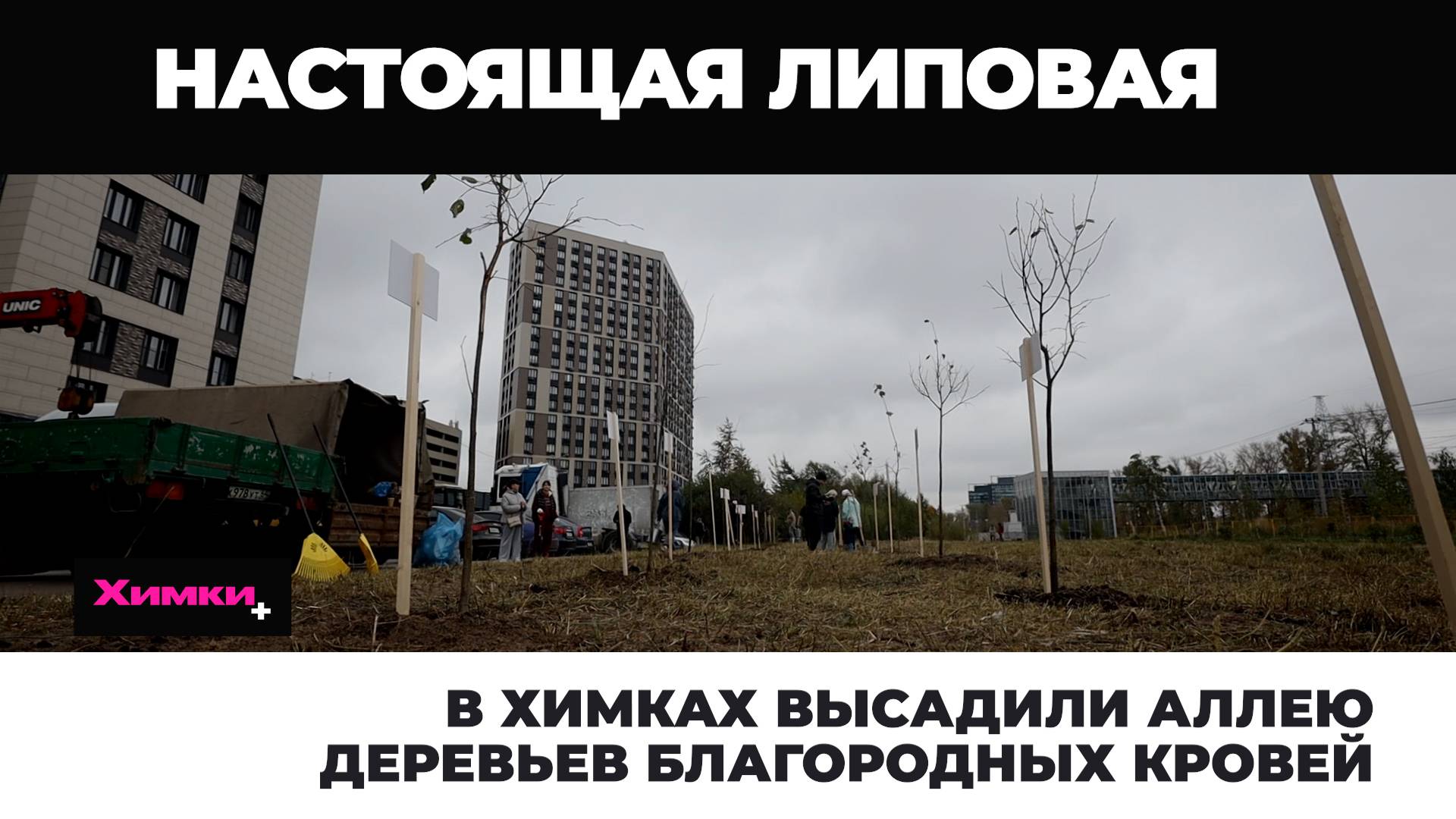 В ХИМКАХ ВЫСАДИЛИ АЛЛЕЮ ДЕРЕВЬЕВ БЛАГОРОДНЫХ КРОВЕЙ смотреть онлайн