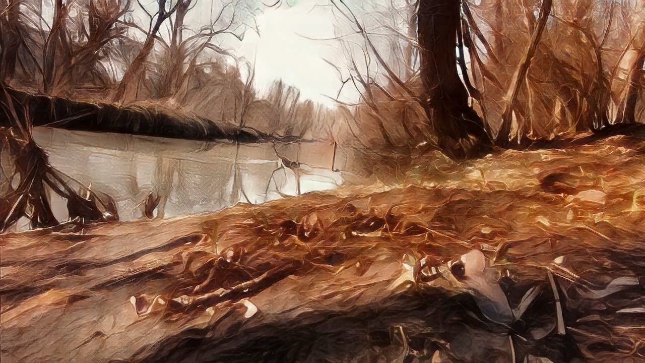 ПЛОТВА НА ПОПЛАВОК.Рыбалка на Реке. смотреть онлайн