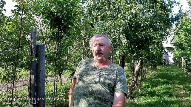 Как ведут себя фундуки на медвежьем орехе смотреть онлайн