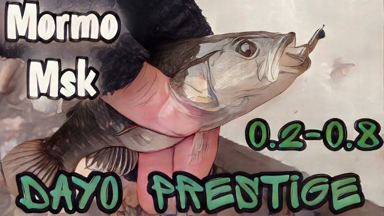 МОРМЫШИНГ С Dayo Prestige 0.2-0.8#мормышинг#рыбалка#мормоны смотреть онлайн