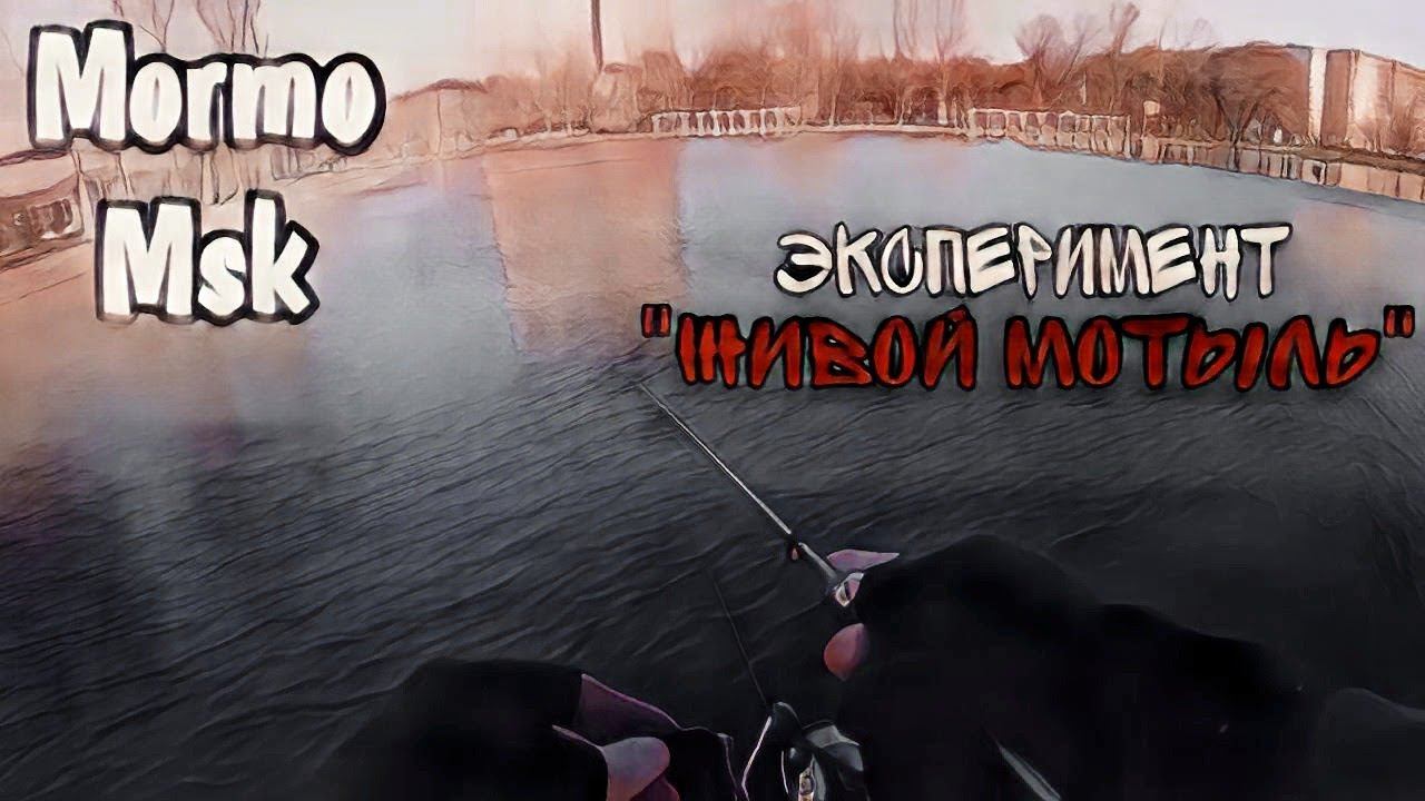 МОРМЫШИНГ В СИЛЬНЫЙ ВЕТЕР. ЭКСПЕРИМЕНТ С ЖИВЫМ МОТЫЛЕМ.#мормышинг#мормоны#рыбалка#мормышка смотреть онлайн