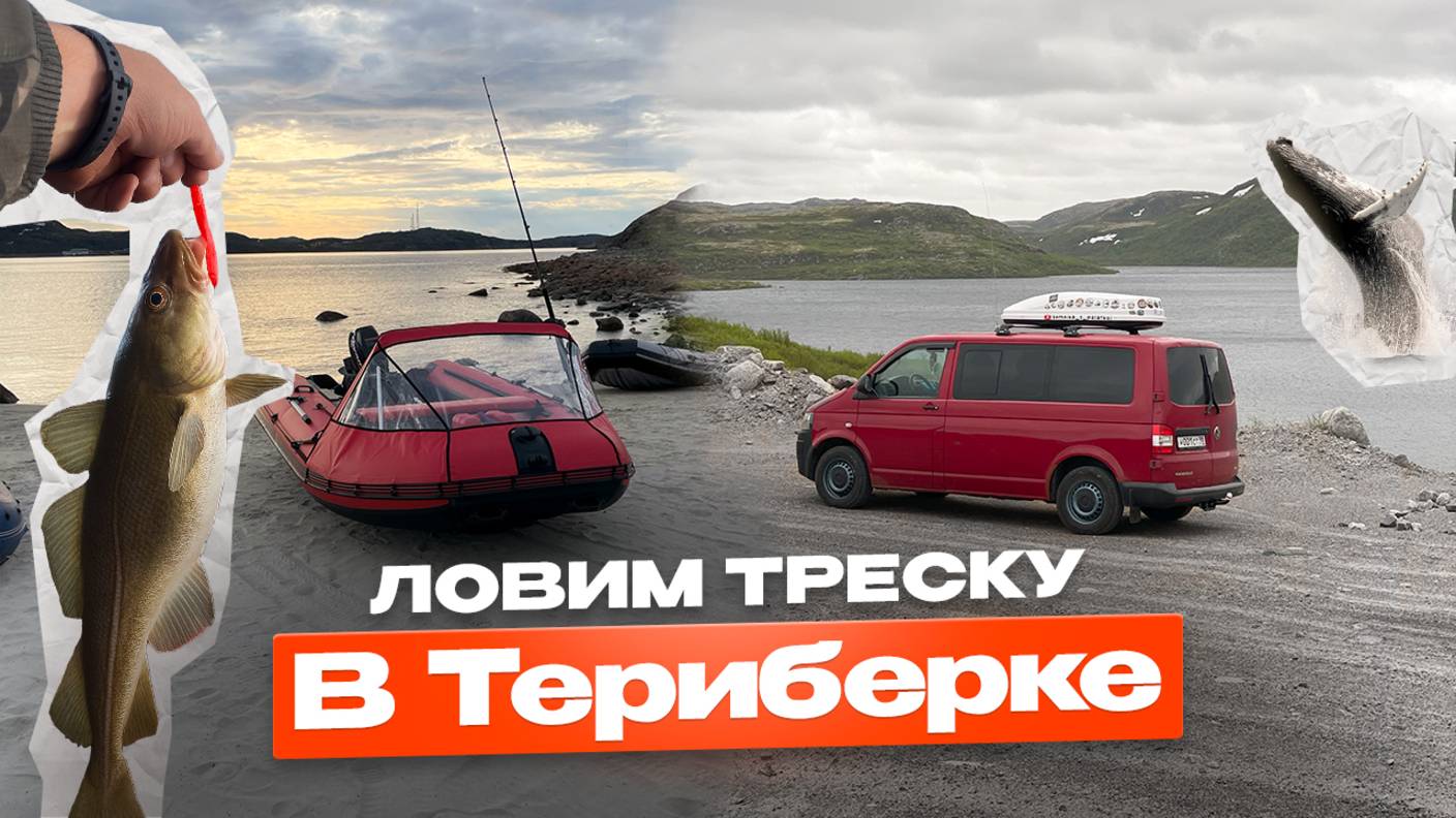 КАК ЛОВИТЬ ТРЕСКУ В ТЕРИБЕРКЕ И НЕ РАЗОРИТЬСЯ? УЗНАЙ СЕКРЕТЫ! // РЫБАЛКА В ТЕРИБЕРКЕ // КОЛЬСКИЙ