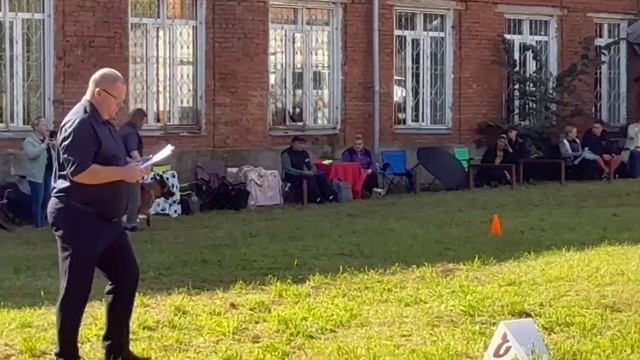 4 Отл. ПОВЕЛИТЕЛЬНИЦА МОРИНБУРГА +++ №18. ИЖЕВСК 14 сентября`25 Моно немецких овчарок