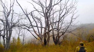 ДЕНЬ ОСЕННЕГО ШНУРКА столько щуки на квадратный метр первый раз встретил